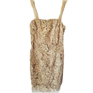 Cache Womens Taupe Lace Sleeveless Strapless Dress with Ribbon Sash Size 0 Prom